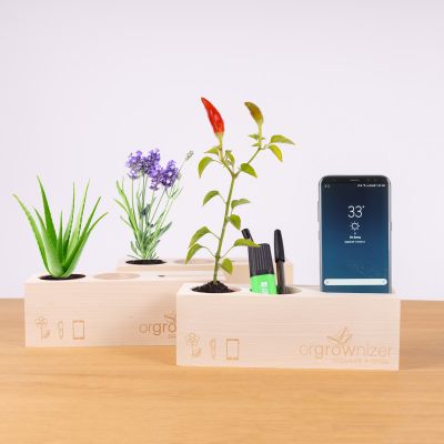 Orgrownizer - Organizador de escritorio con planta